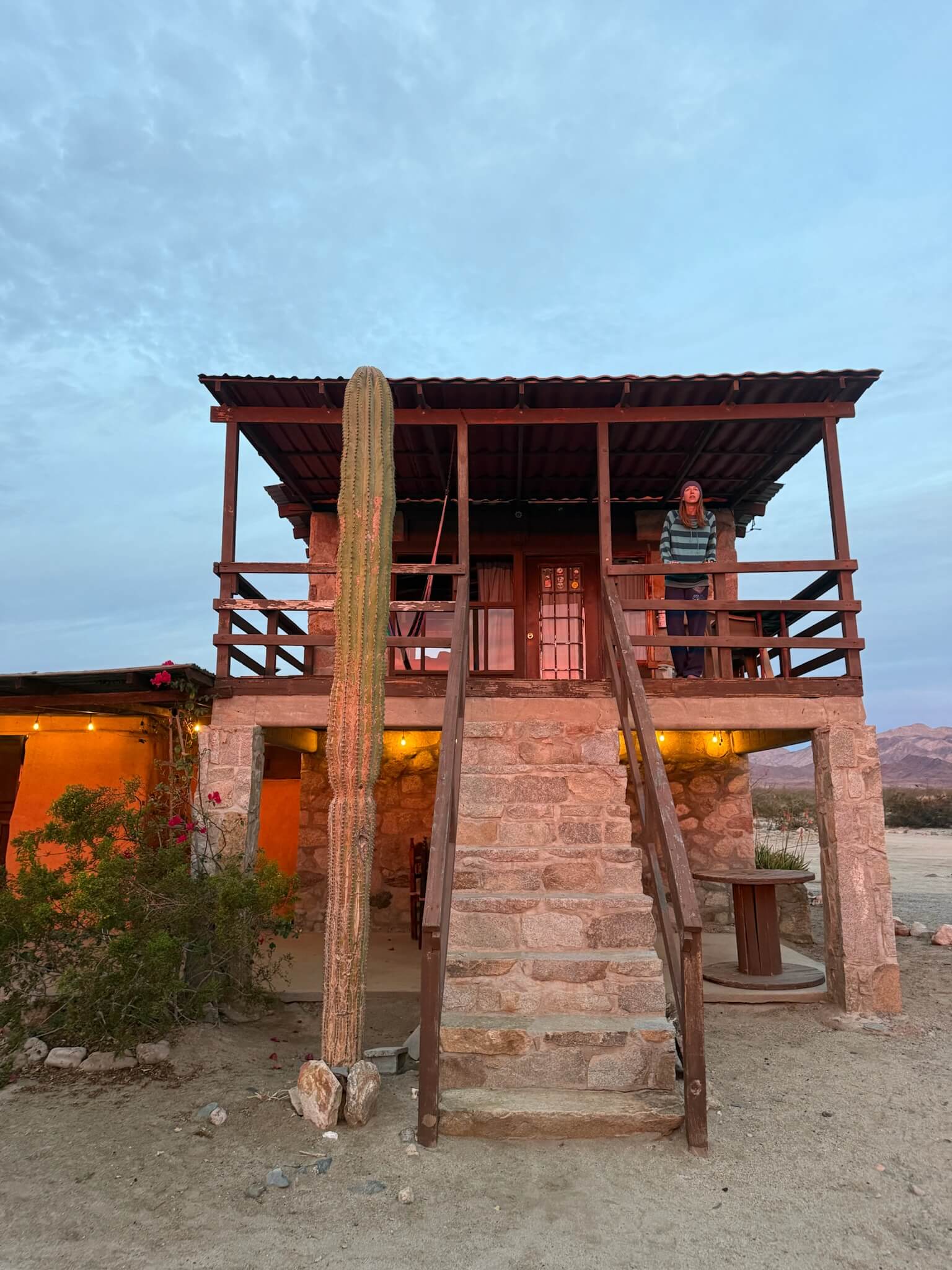 Baja whales accom
